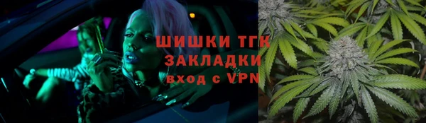 дурь Бородино