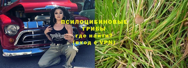 дурь Бородино