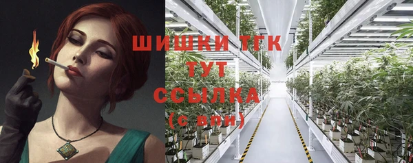 дурь Бородино