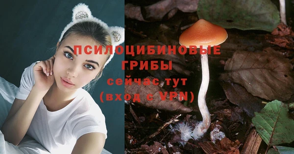 не бодяженный Бронницы