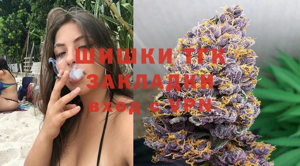 дурь Бородино