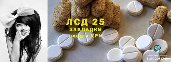 дурь Бородино