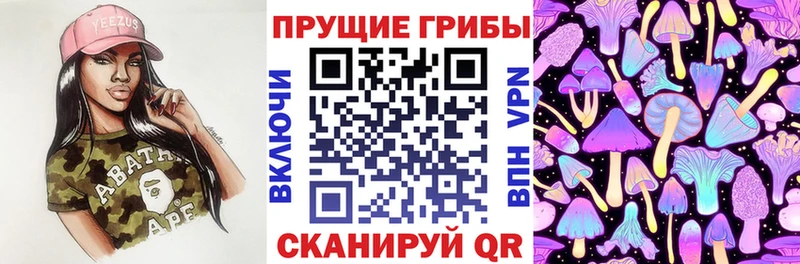 Псилоцибиновые грибы Cubensis Нарьян-Мар